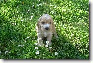 na tom sv�t� je kr�sn�