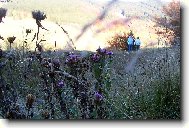 Podzimn� p��roda