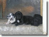 �t���tka st��� 5t�dn�