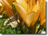 ODPO��VAM NA CHVILKU