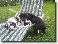 nerozlu�n� dvojka