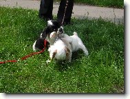 Neboj zbav�m t� toho vod�tka...