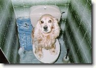 V�clav na pr�zdnin�ch u babi�ky...