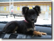 sle�na Lusy,u��m se ��dit a co m� b�t.