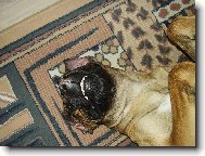 P�kn� �sm�v do objektivu