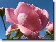 R��e v bab�m l�t� :-)