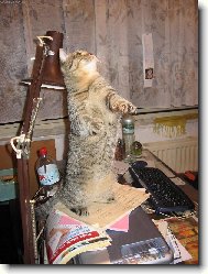 Pod�vejte, jak� m�m dr�pky