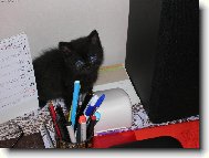 Mike� studuje kalend��