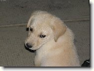 Kuk!Kdo m� to fot�?!