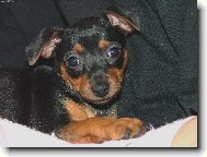 Poprv� doma - 7 t�dn�