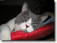 Odpo��v�m, neru�it!