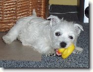 N� mil��ek Ejmi