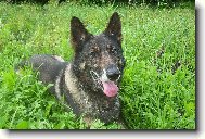 Spokojenej Ben��ek