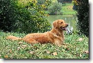 LETN� ROZJ�M�N�