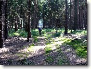 Hled�n� ve�e�e