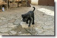 ��k�m, �e jsem m�la b�t rybou!!