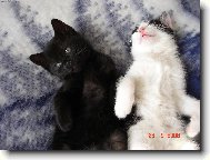 pohodi�ka v posteli