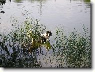 Kdo m� vid�? Kde m�m ty ka�enky?