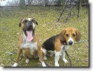 "spr�vn� dvojka"