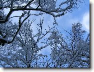 Jak je zima kr�sn�