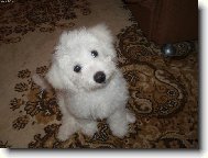 Na�e kr�sn� Bessynka