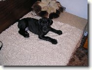 J� taky budu jednou velkej!