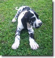 Na�e nov� miminko