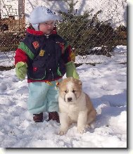 mlad� kynolog se sv�m psem