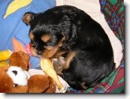 n� rodin� mazl��ek