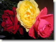 Kr�sn� a vo�av�