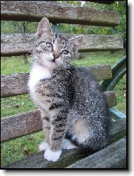 P�zov�n� na lavi�ce