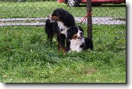 Pudjdeme si hr�t???