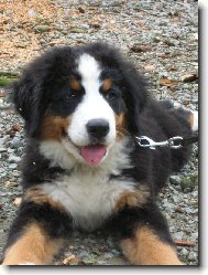 A u� se mnou nikdo nehne!