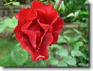 Osv�uj�c� d隝