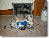 Zaslou�en� odpo�inek