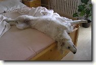 A opravdu mus�m ven?!