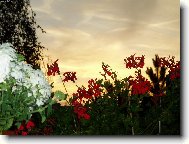 Z�pad slunce z balkonu