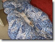 T�k� pohoda na�� Dorotky