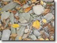 Na b�ehu Byst�ice