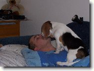 ve�ern� mazlen�