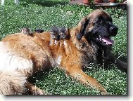 Bonnie B. Bora z Miloti�ek ch�vou