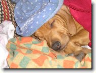 Mendy spink�, neru�it!