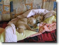 ...nechte m� sp�t...