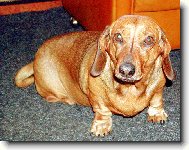 Jak se m�? P�ne�ku