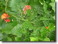 Tomu ��k�m poctiv� pr�ce