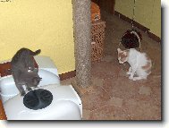 Bert�k a Mike�ka