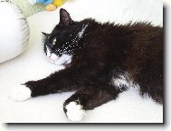 Jsem tak unaven�...