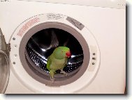  Do�istanov� domov