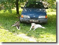 S�rina a Niky hl�daj�