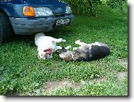 Holky se na sebe usm�vaj�